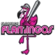 Florence_Flamingos